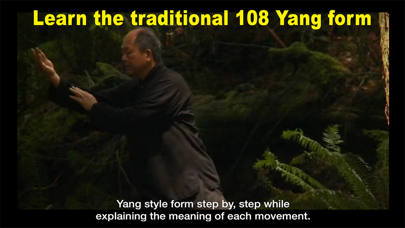 Yang Tai Chi for Beginners 1 screenshot 2