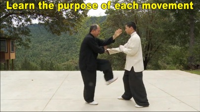 Yang Tai Chi for Beginners 2&3 screenshot 3
