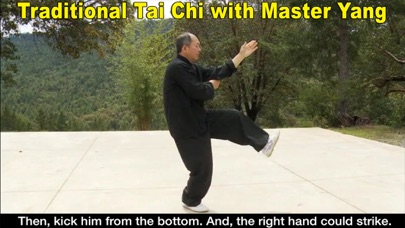 Yang Tai Chi for Beginners 2&3 screenshot 4
