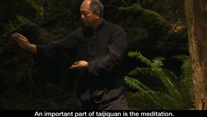 Yang Tai Chi for Beginners 2&3 screenshot 5