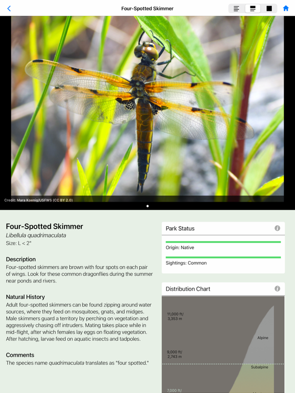 Yellowstone NP Field Guide screenshot 3