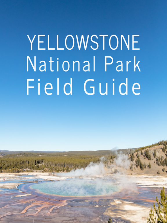 Yellowstone NP Field Guide screenshot 10