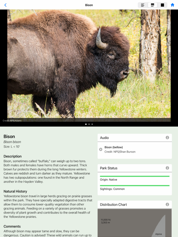 Yellowstone NP Field Guide screenshot 6