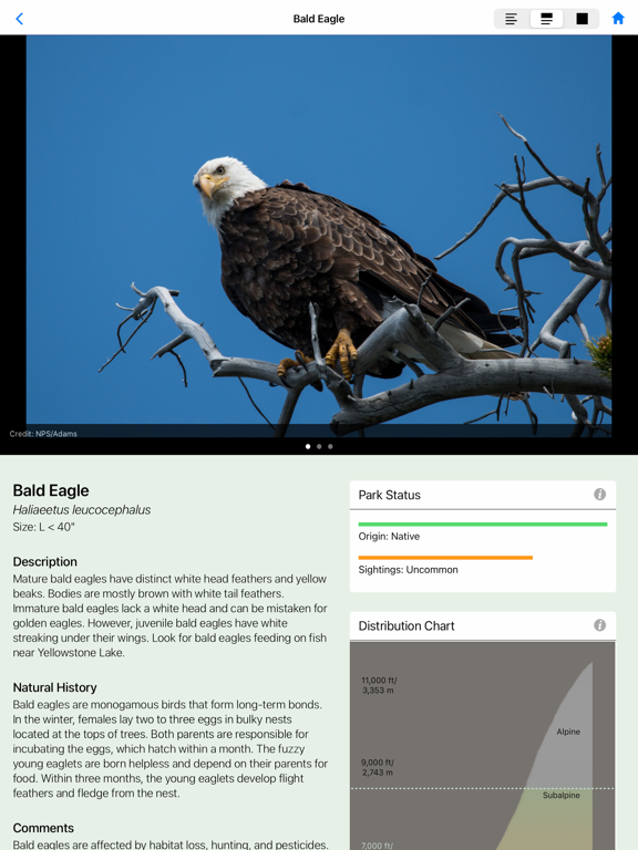 Yellowstone NP Field Guide screenshot 5
