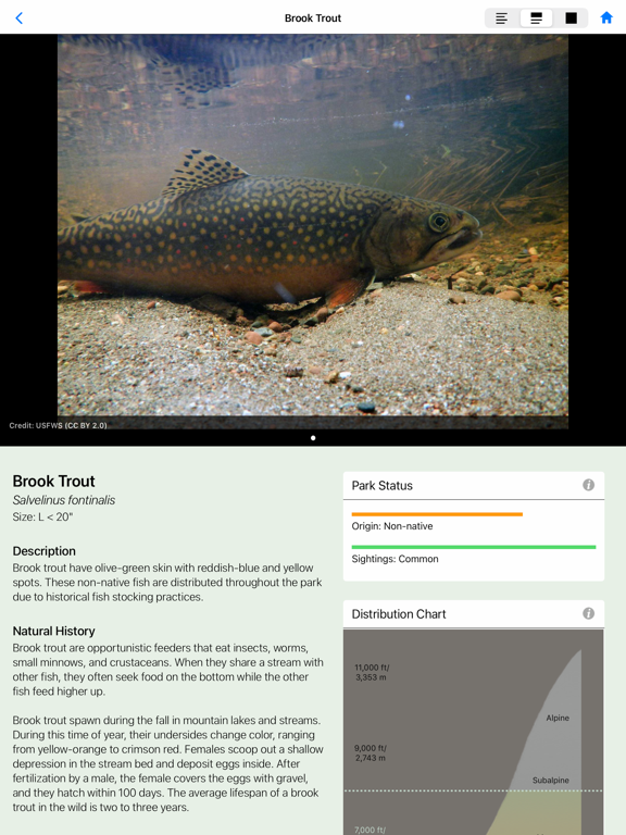Yellowstone NP Field Guide screenshot 4