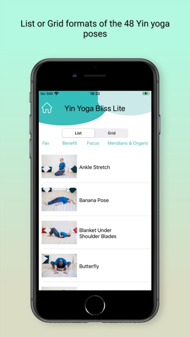 Yin Yoga Bliss Lite screenshot 6