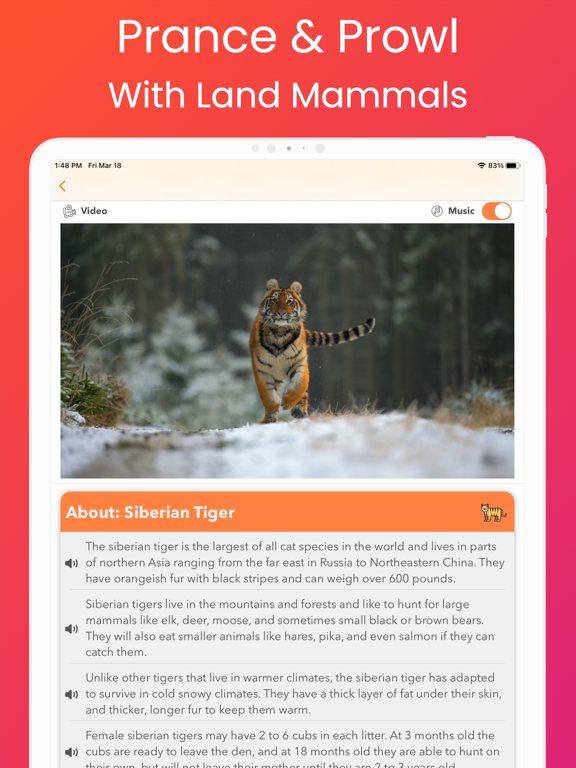 YipYap - Animal Discovery screenshot 2
