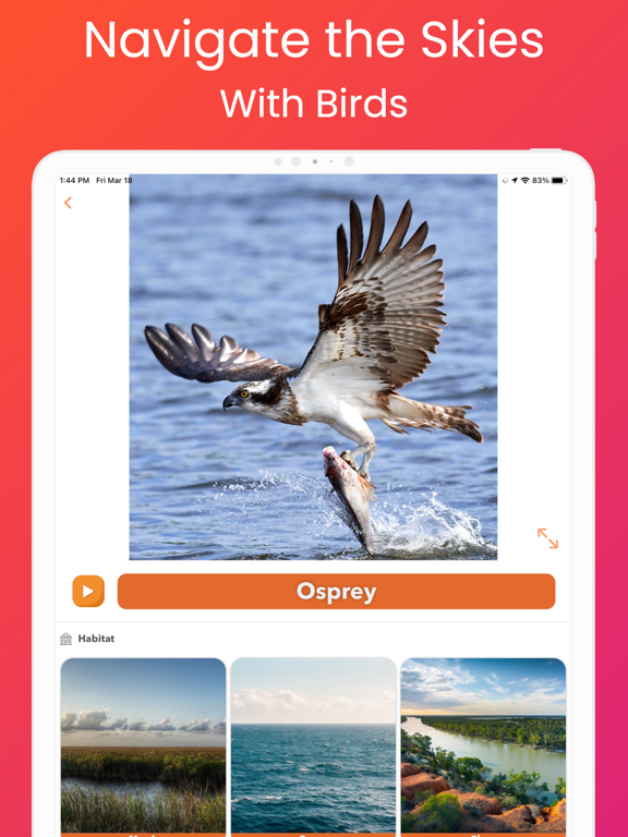 YipYap - Animal Discovery screenshot 4