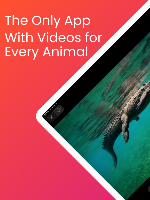 YipYap - Animal Discovery screenshot 8