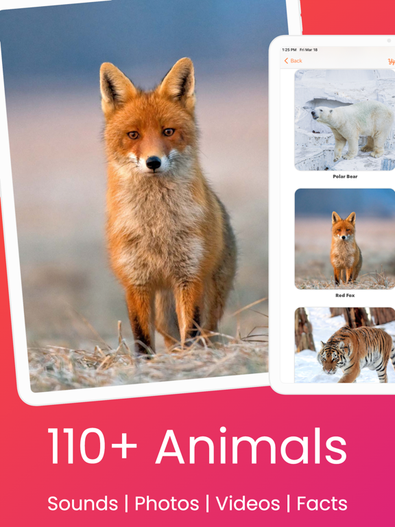 YipYap - Animal Discovery screenshot 10