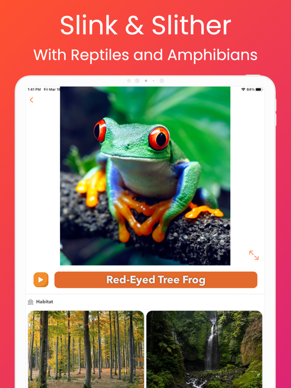YipYap - Animal Discovery screenshot 6