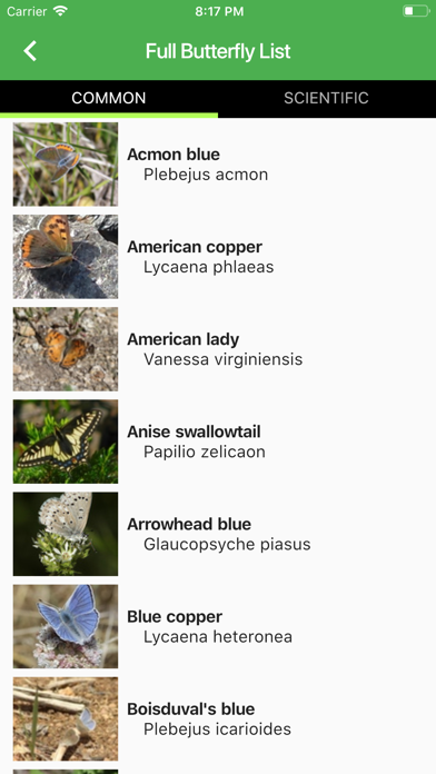 Yosemite Butterflies screenshot 4