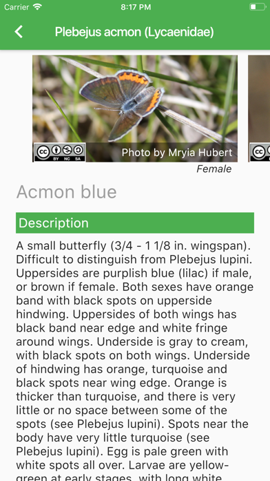Yosemite Butterflies screenshot 3