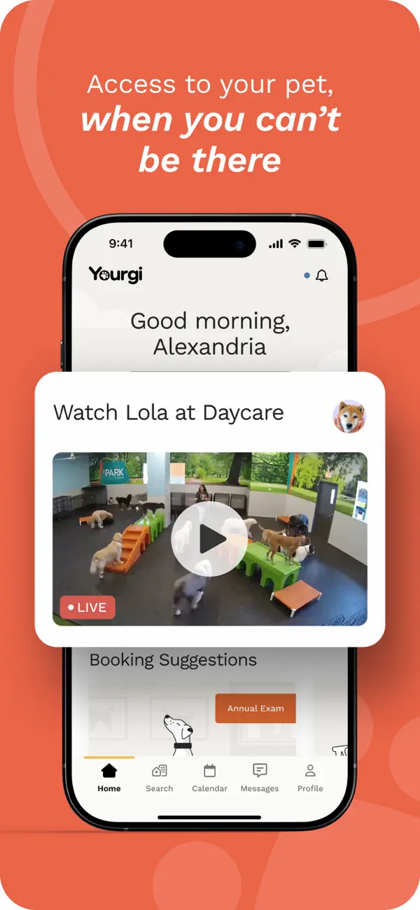 Yourgi screenshot 2