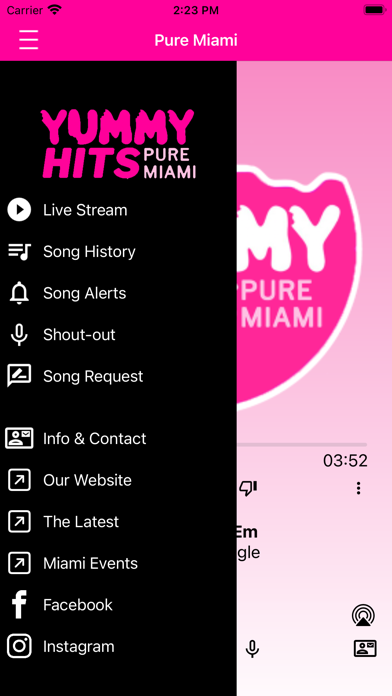 Yummy Hits screenshot 3