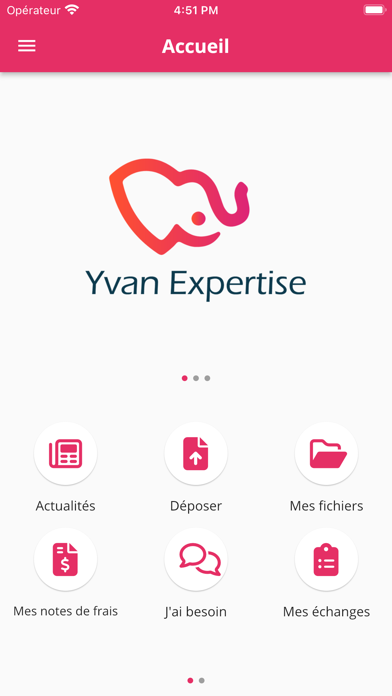 Yvan Expertise screenshot 3