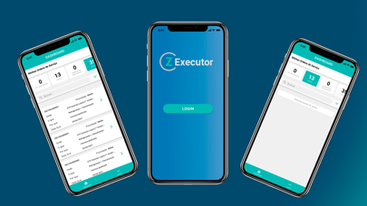 Z Executor screenshot 1