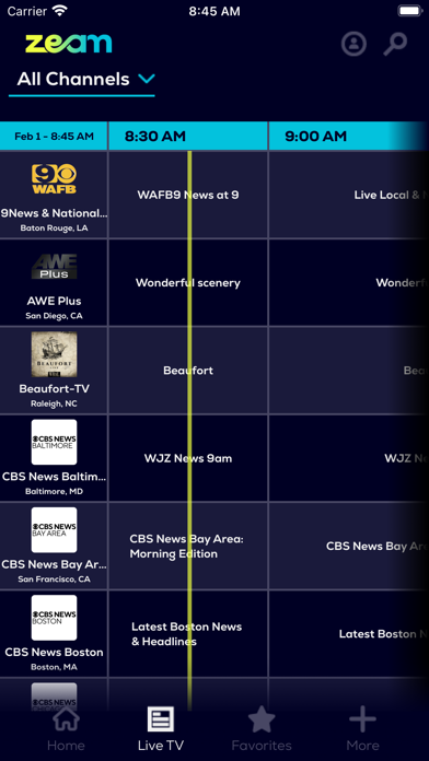 Zeam - Always Local screenshot 1