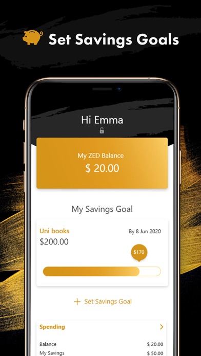 ZedPay screenshot 1