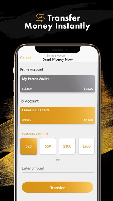 ZedPay screenshot 3