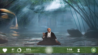 Zen Journey by Wild Divine screenshot 2