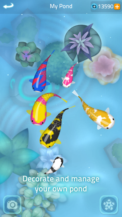 Zen Koi 2 screenshot 3
