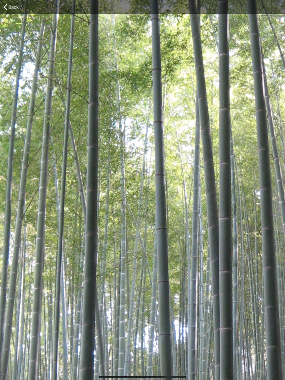 Zen Moments screenshot 3