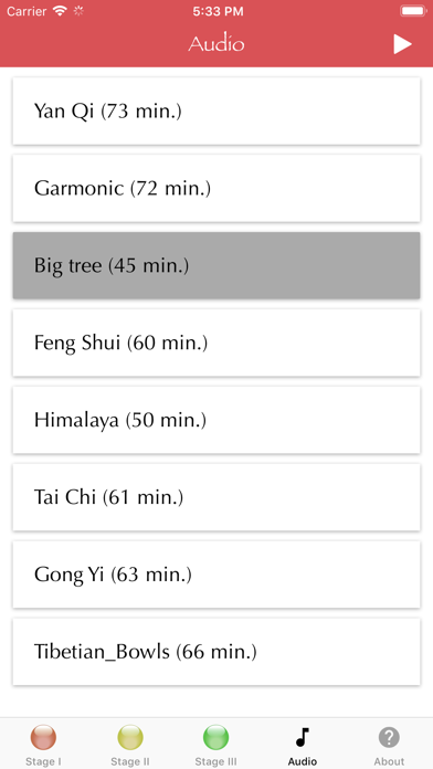 Zhong Yuan Qigong screenshot 2