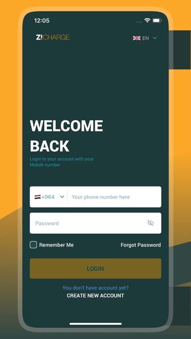 ZiCharge screenshot 5