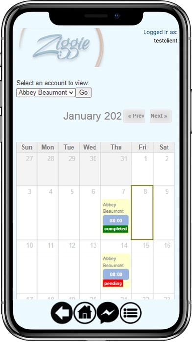 Ziggie App screenshot 2