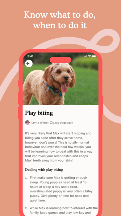 Zigzag - Dog & Puppy Training screenshot 2