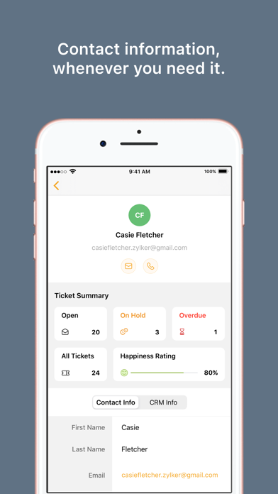 Zoho Desk screenshot 2