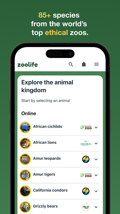 zoolife - Watch Animals Live screenshot 7