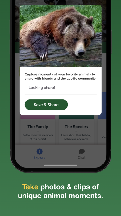 zoolife - Watch Animals Live screenshot 5