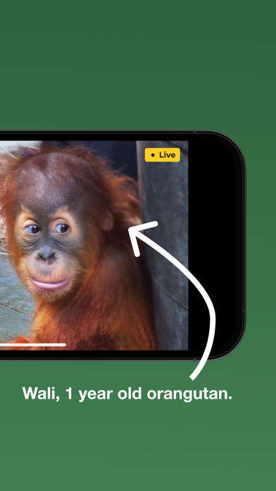 zoolife - Watch Animals Live screenshot 8