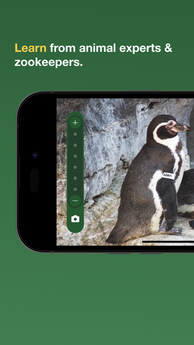 zoolife - Watch Animals Live screenshot 3