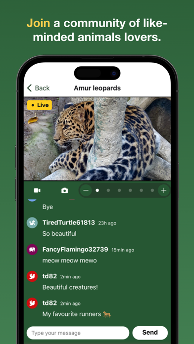zoolife - Watch Animals Live screenshot 4