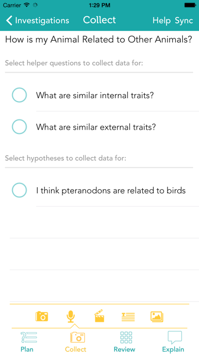 Zydeco Inquiry screenshot 3