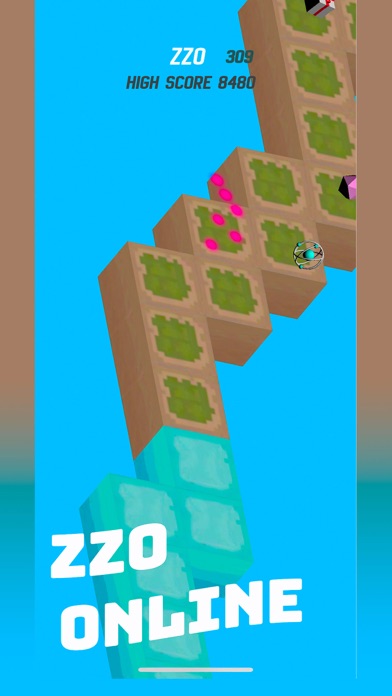 ZZO Online screenshot 2